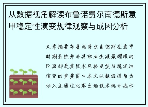 从数据视角解读布鲁诺费尔南德斯意甲稳定性演变规律观察与成因分析